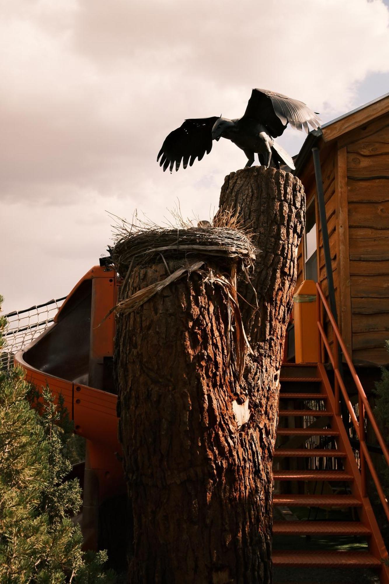 Crows Nest Treehouse At El Mstico Ranch Vila Nogal Exterior foto