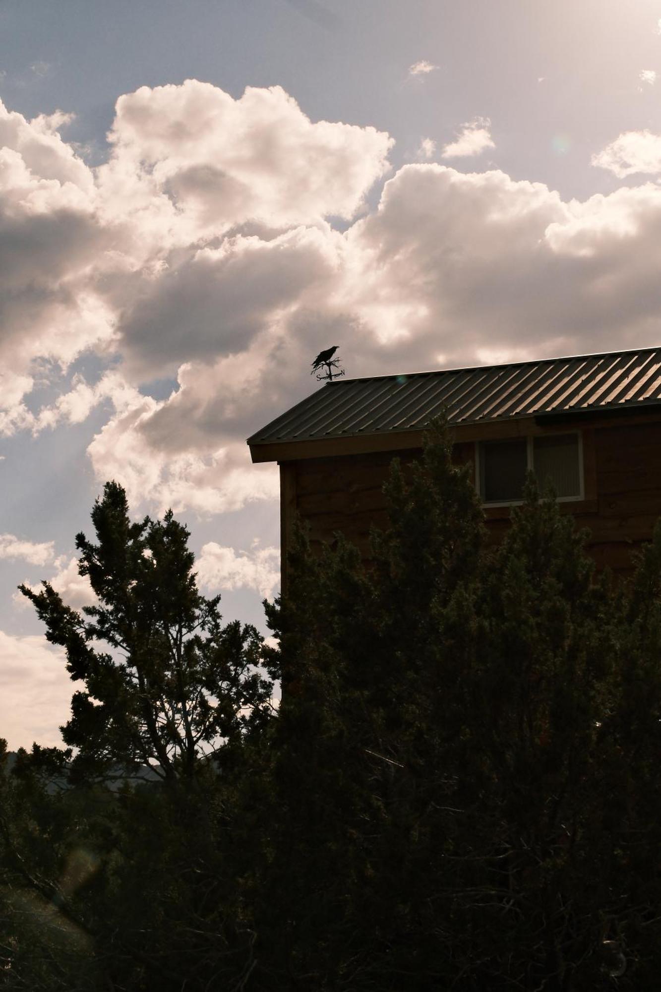 Crows Nest Treehouse At El Mstico Ranch Vila Nogal Exterior foto